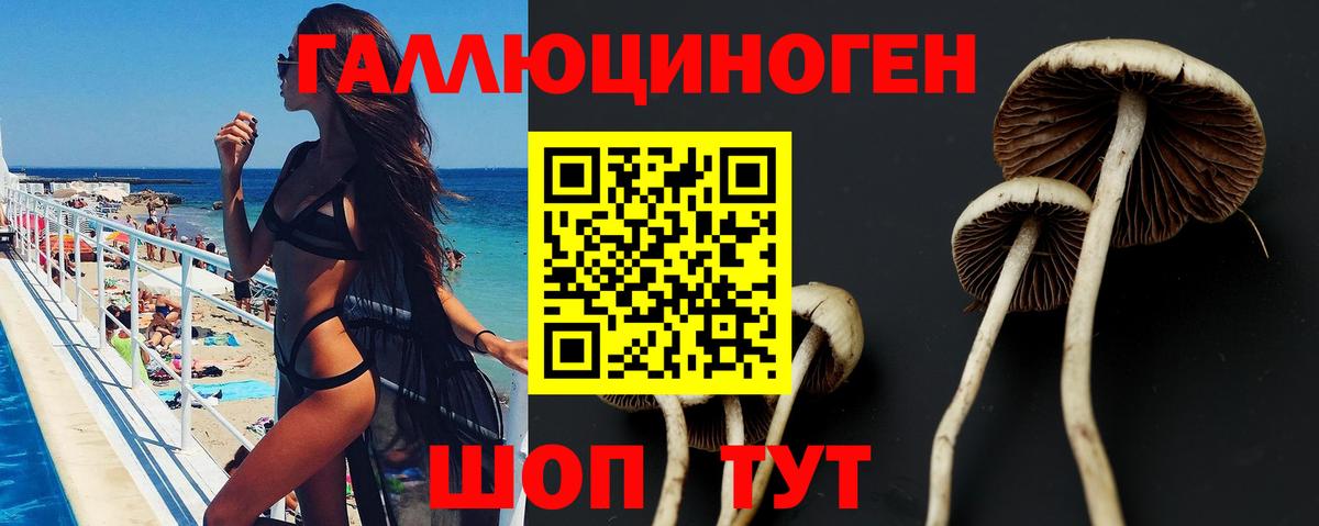 Псилоцибиновые грибы Psilocybe  Псилоцибиновые грибы прущие грибы  Елец  Вход с VPN 